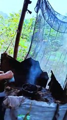 El SECRETO del Café Cubano: Así se Cuela en los Campos de Baracoa 🇨🇺