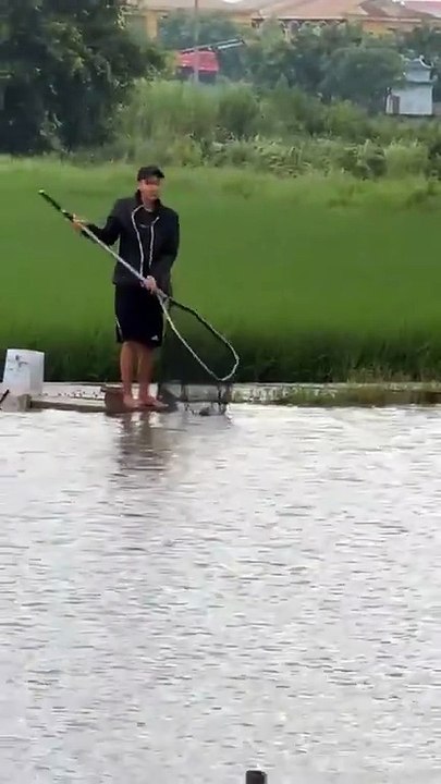 Big Fish Challenge at the Fishing Pond - 6