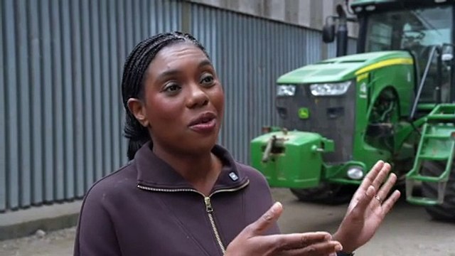 Tories accuse Nigel Farage of ‘copying our homework’