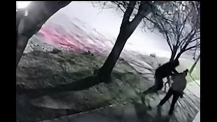 Una mujer fue golpeada y arrastrada por delincuentes que intentaron robarle la cartera
