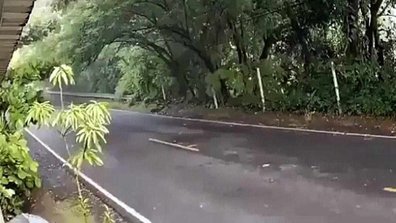 Pas de chance pour ces motards...