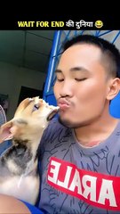 Animals Funny Video 😅| part- 1🤣 #funnyanimals #funny #shorts