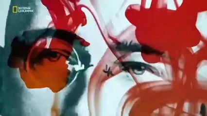 Himmlerin  Kalesi Naziler  Belgesel izle