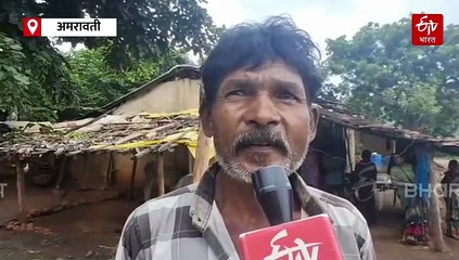 चिखलदऱयात वाघाची दहशत! वाघानं युवकाला केलं ठार; गाव घाबरलंय, प्रत्यक्षदर्शी फारसा बोलेना