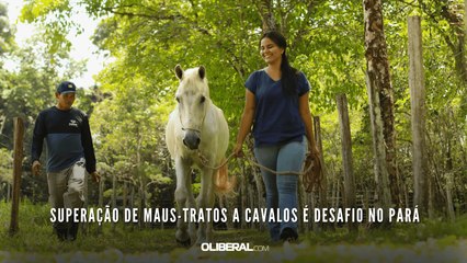 Superação de maus-tratos a cavalos é desafio no Pará