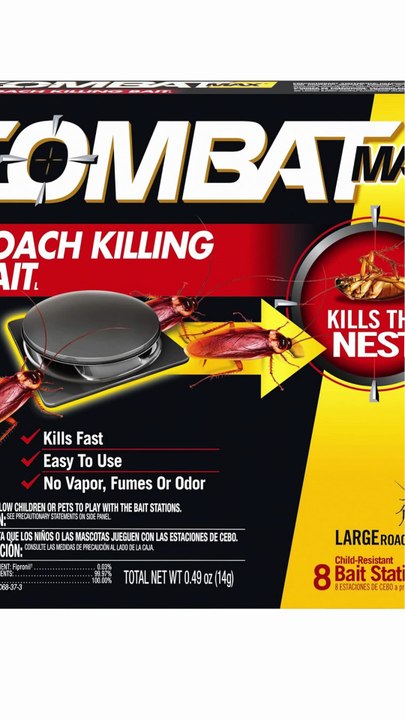 “Discover More. Pay Less. Smile More.” 🛒 Amazon’s Best Pick for You (2)