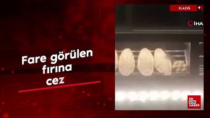 Elazığ'da fare görülen fırına ceza