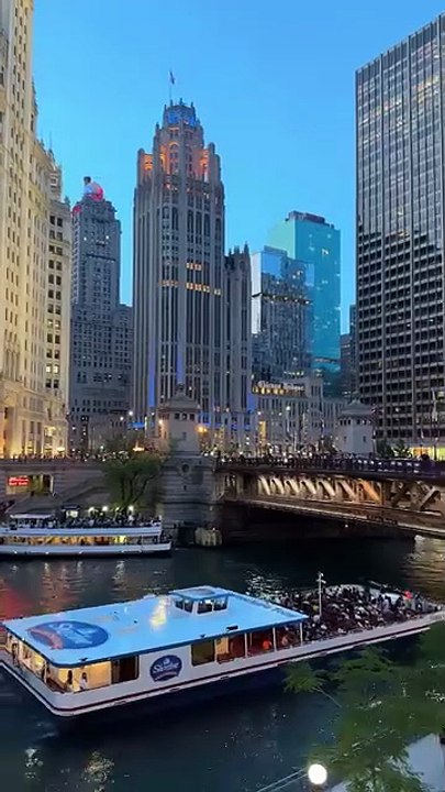 # Beautiful dream #to grow Daily motion? | Stop These Mistake |