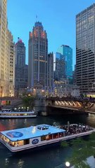 # Beautiful dream #to grow Daily motion? | Stop These Mistake |