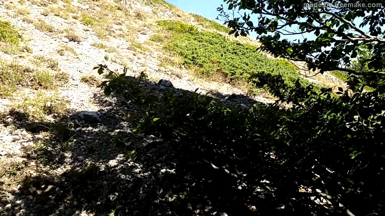 MART.15-8-23- CANNELLE MONTE E SELVA CANNUTA DA OVINDOLI.