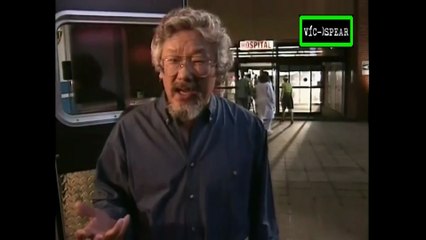 El Cerebro: La Mente Mágica - Documental (1998) Español Latino *Carlos Magaña - Episodio 5