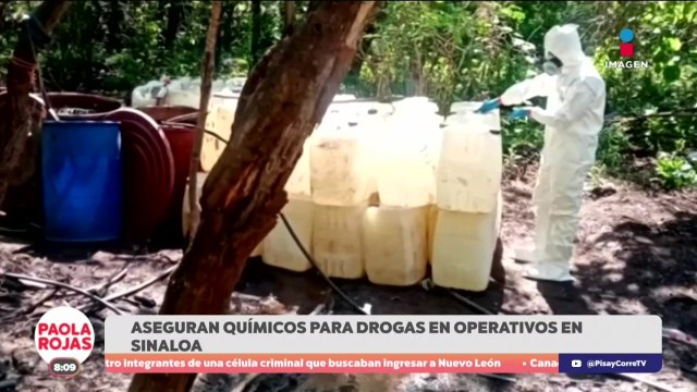 Desmantelas tres narcolaboratorios en Culiacán | DPC con Paola Rojas