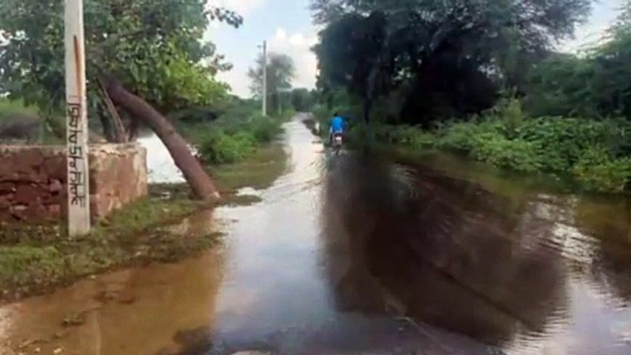 नागौर में भारी बरसात के बाद सलेऊ गांव में जलभरा...