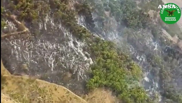 Bruciati mille ettari di bosco sul monte Sara, nell'Agrigentino