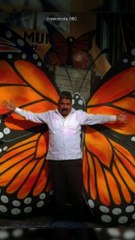 Homero Protector: Conservación de la Mariposa Monarca