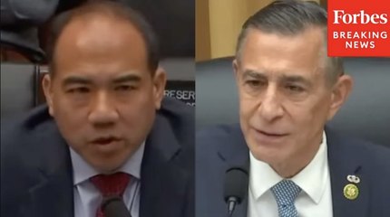 'They Just Outright Prohibit It?': Issa Asks Lawyer About Third Party Litigation Funding In China