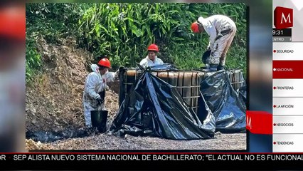Derrame de hidrocarburo contamina agua, vegetación y fauna de Huachinango