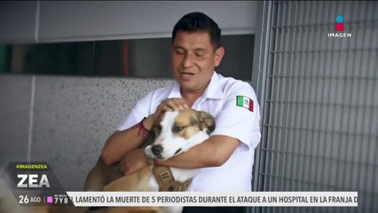¡Héroes de cuatro patas! La Marina presenta a sus dos integrantes caninos
