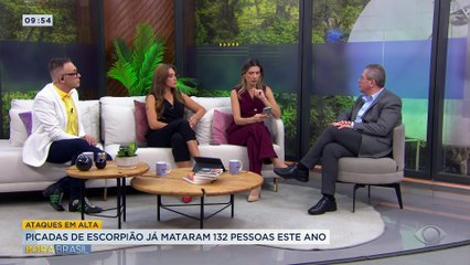 Picadas de escorpião já mataram 132 pessoas este ano; veja cuidados