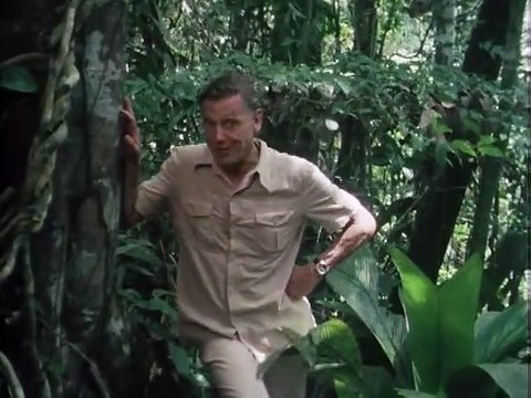 Life on Earth (1979) E01 - The Infinite Variety
