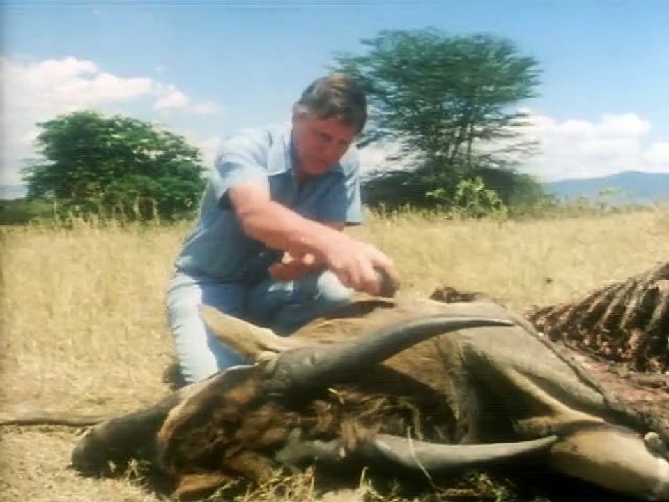 Life on Earth (1979)  E13 - The Compulsive Communicators