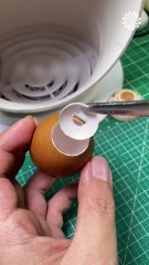 Carving on egg shells! 🥚😍
