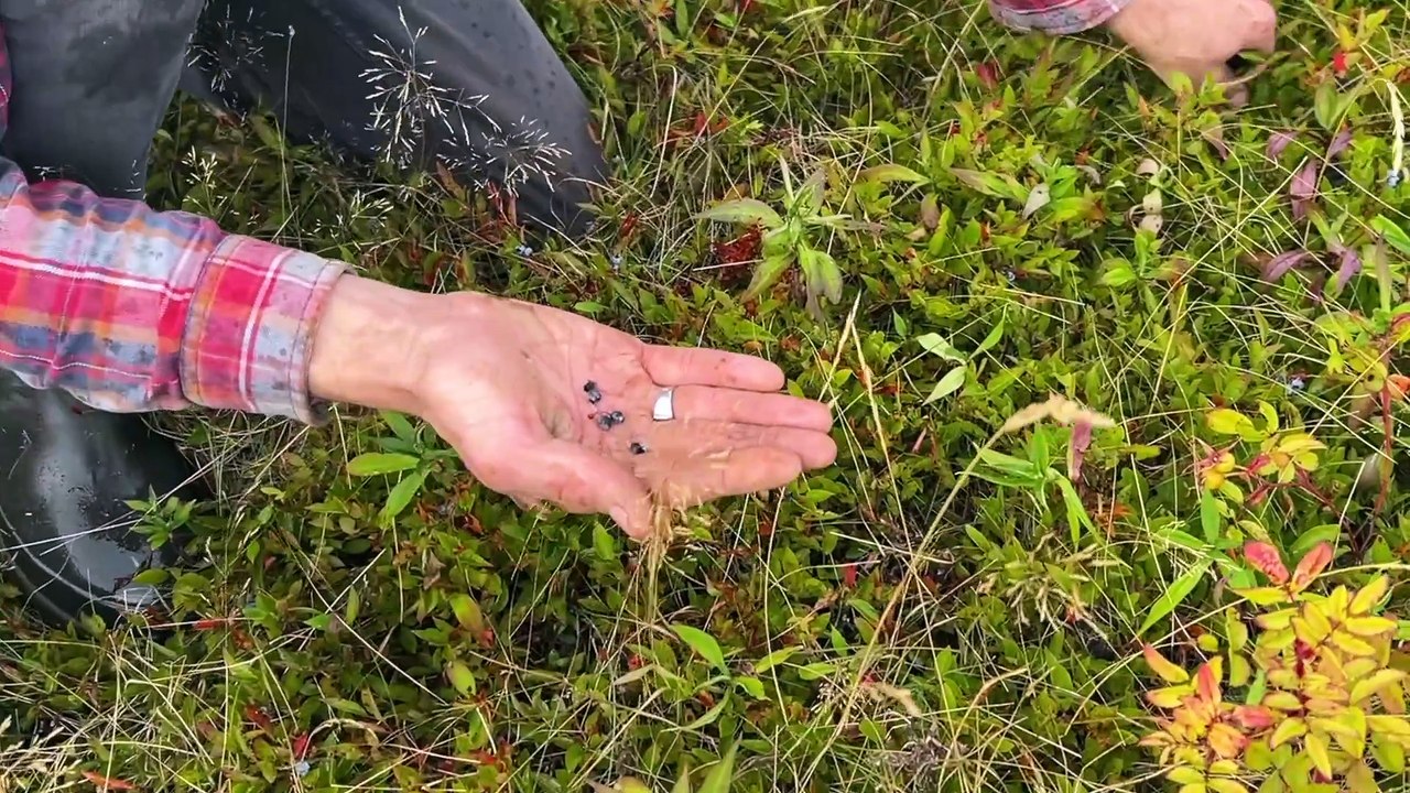 26 aout TOPO AD VF Sécheresse abeilles et jardinage