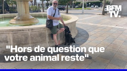 Un client et son chien-guide refoulés d'un restaurant