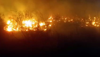 Incendio Palacios Sierra