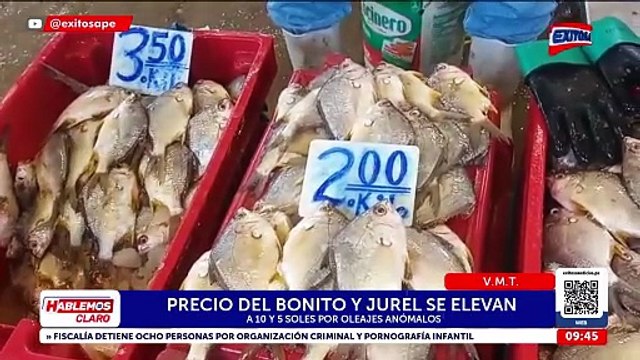 VMT: Precio del bonito y jurel se elevan a S/10 y S/5 soles por oleajes anómalos