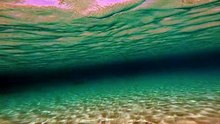 swimming along seabed pov 02