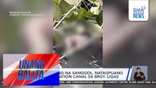 Bagong silang na sanggol, natagpuang patay sa irrigation canal sa Brgy. Ligas | Unang Balita