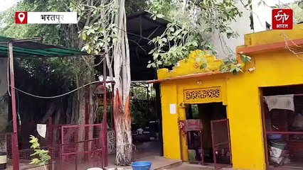 गणेश चतुर्थी 2025: बरगद की जटाओं में बसे जटेश्वर गणेश, वर्षों से लगता है यहां श्रद्धालुओं का मेला