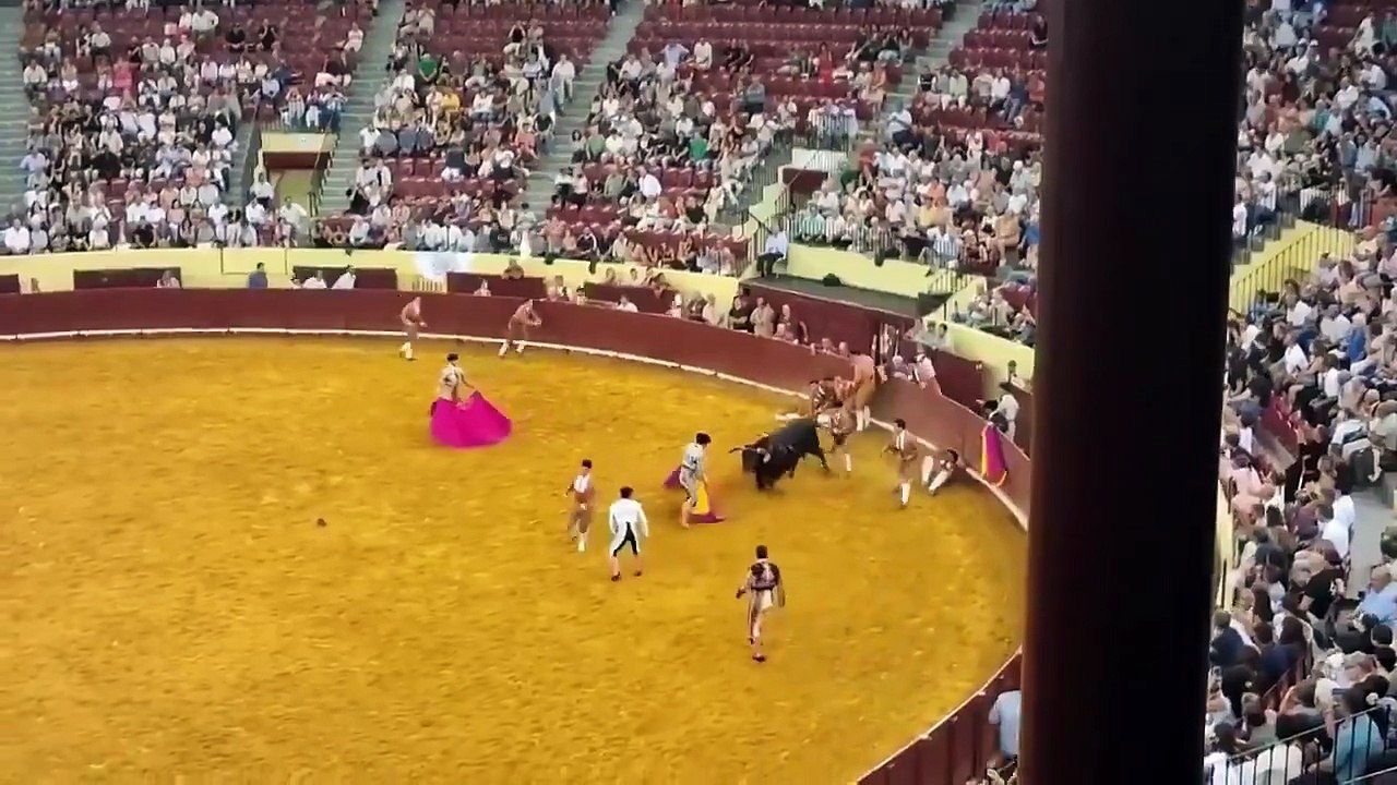 torero