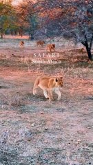 TOP TRAVEL EXPERIENCES to add to your bucket list!