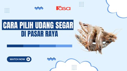 Cara pilih udang segar di pasar