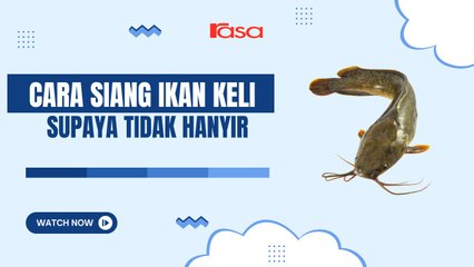 Cara siang ikan keli dengan betul
