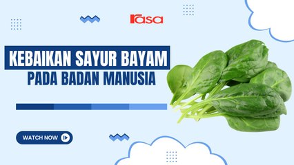 Ingat Popeye Dia betul! bayam memang power! Bukan mitos