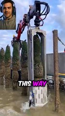 How Mussels Are Harvested 😲 You Won’t Believe This Process!