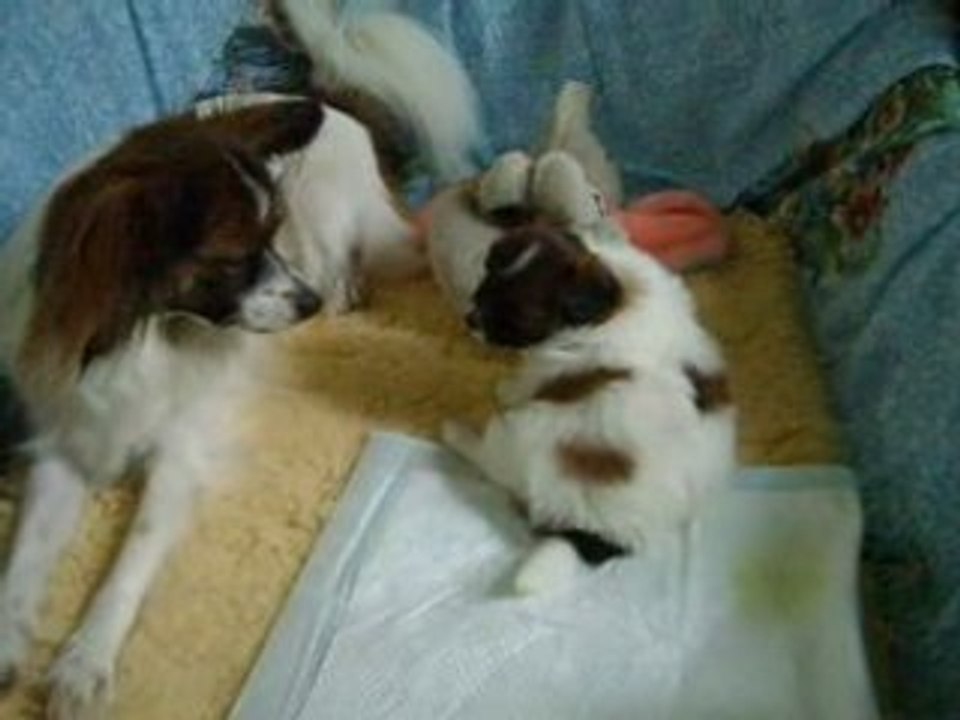 Angie est jalouse, et veut son bébé