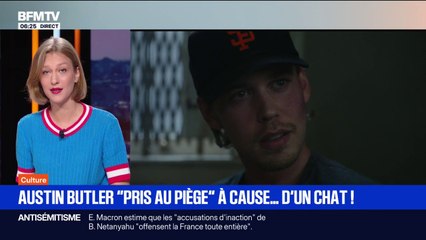 Un thriller "explosif": dans "Pris au piège", Austin Butler se retrouve harcelé par la mafia russe à cause...d'un chat
