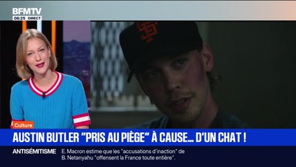 Austin Bulter "pris au piège" à cause ... d'un chat ! - 27/08