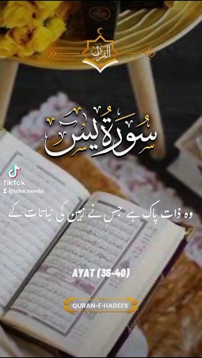 surah yaseen || 1 million followers #islamicknowledge #ajmalrazaqadri #molanatariqjameel #foryou #capcut #1millionviews #viral #islam #islamic #trending #madina #quran #unfrezzmyaccount #muslim