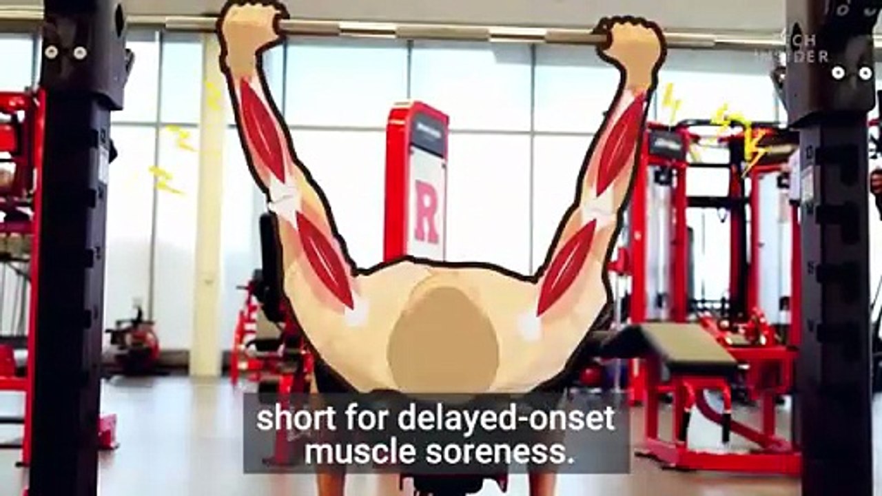 "What Happens To Your Body When You Start Exercising Regularly | The Human Body