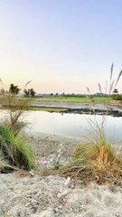 Kids ❤ My Village  #maxrecords #villagelife #larkana #sindh #pakistan