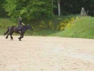 GIZMO - direction à l'obstacle