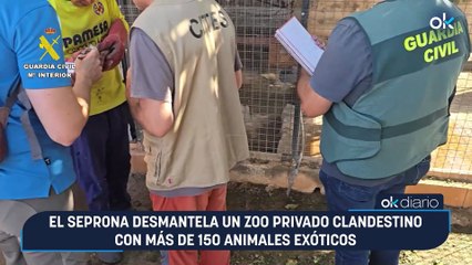 El Seprona desmantela un zoo privado clandestino con más de 150 animales exóticos