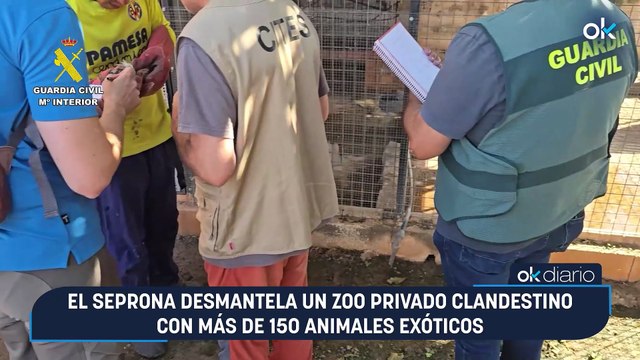 El Seprona desmantela un zoo privado clandestino con más de 150 animales exóticos