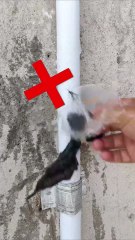 1 minute to patch a leaking pipe