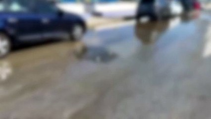 Tombini in tilt a Rodia, acqua e liquami si riversano in spiaggia